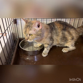 ボクちゃん変ですか？？の画像