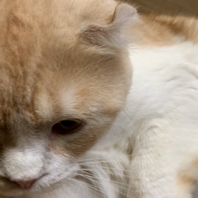 寒くなりましたねーの画像