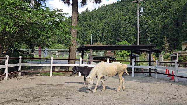 わくわくしちゃう大人の遠足in奈良　天河大辨財天社・丹生川上神社下社(*´ω｀*)の記事動画