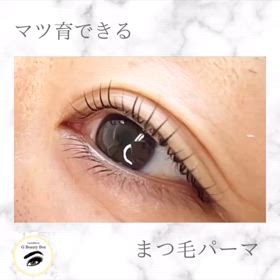 2024/03/15の画像
