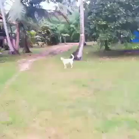 家族のサポートの画像