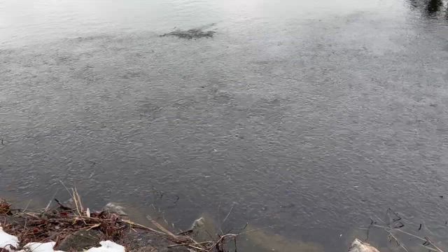 RM女師会⑨　in    余呉湖（2/1）の記事動画