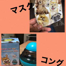 カイくんにプレゼントの画像
