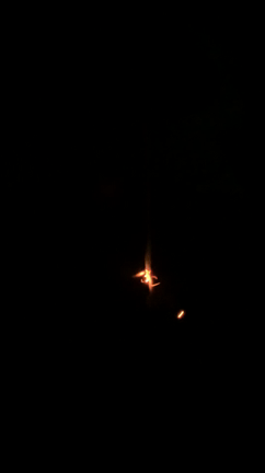 夏の終わり...かな？の記事動画