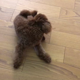 アレっ‼︎の画像