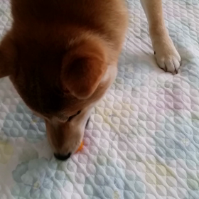 興味津々の画像