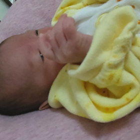 生後21日 甘え泣きの画像