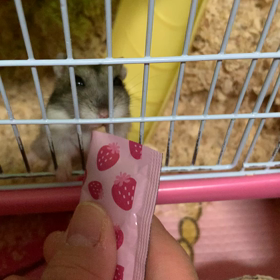 久しぶりのまこちゃんの画像