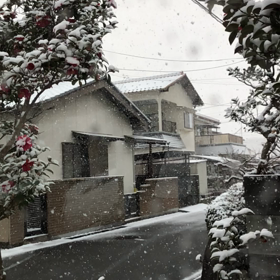 雪が降るの画像