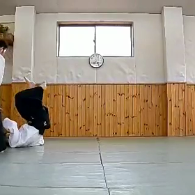 合気道昇段への道 vol  2の画像
