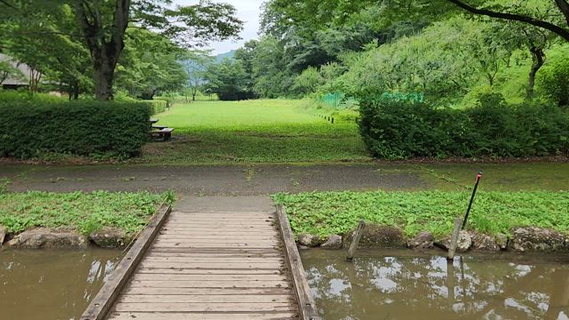 プチドライブの記事動画
