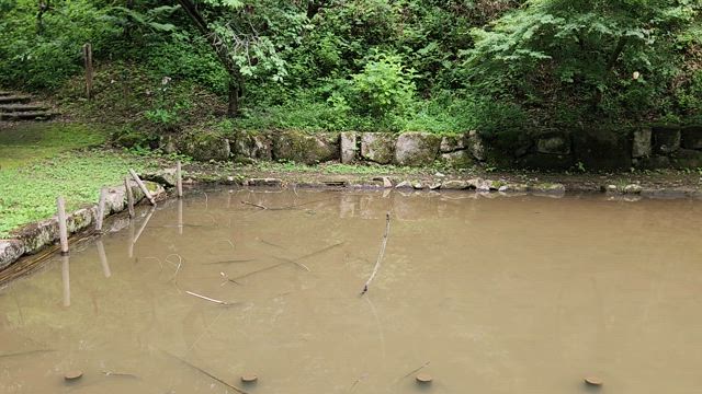 プチドライブの記事動画
