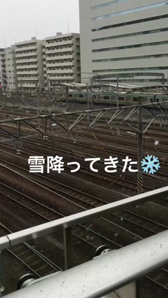 雪降ってきた〜の記事動画