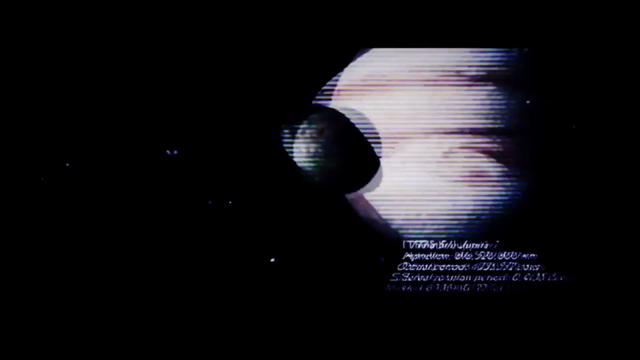 ライジンの記事動画