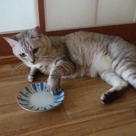 安全確認？の画像