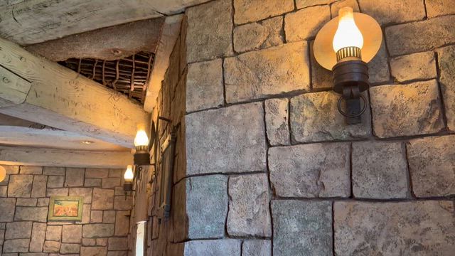 本日のパークレポート（レストランが空いている〜･:*+.\(( °ω° ))/.:+の記事動画
