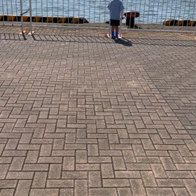 海って最高ねの画像