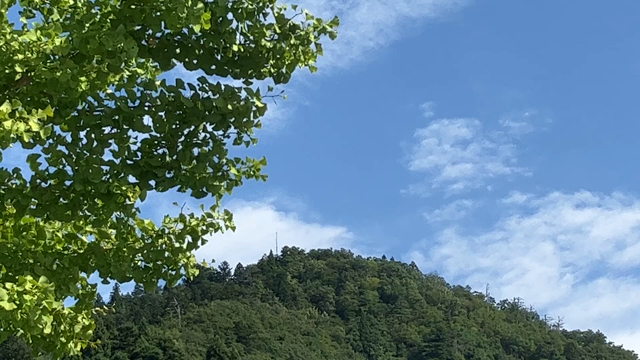 クルクルの記事動画