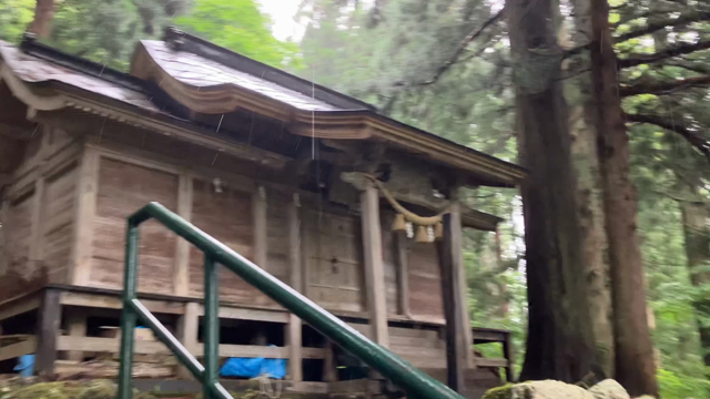 山城の記事動画