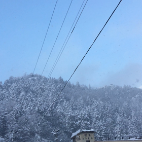 雪❄︎の画像