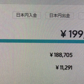 ビットコインをゲットしてみましたの画像