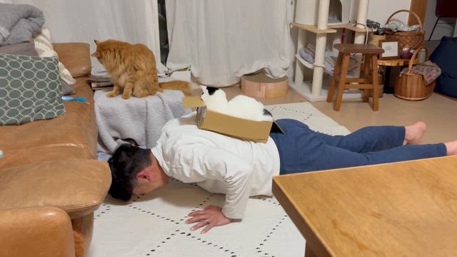 箱天をの記事動画