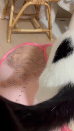 ふたりで入ったらいいやんの記事動画