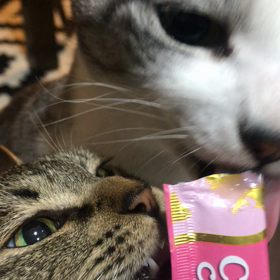 今日は平成最後の日の画像