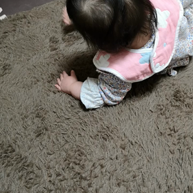 お座りの画像