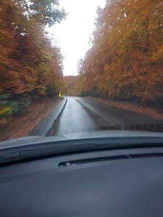奥入瀬渓流の記事動画