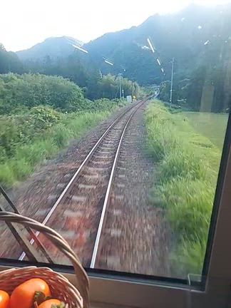 長良川鉄道の記事動画