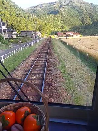 長良川鉄道の記事動画