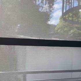 2024/05/20の画像