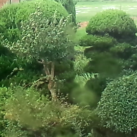 台風～(゜o゜;の画像