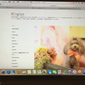 ネットショップオープン！！の画像