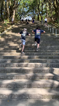 ラントレの記事動画