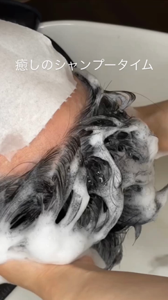 シャンプー動画(前半)の記事動画