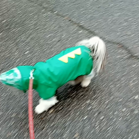 2021/11/22の画像
