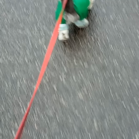 2022/02/19の画像