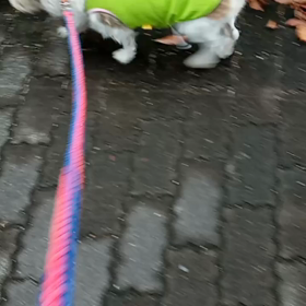 2021/11/10の画像