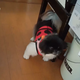 2021/10/07の画像