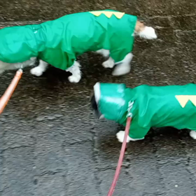 2022/03/22の画像