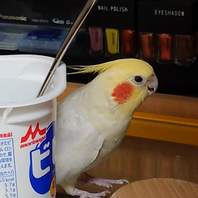 まだまだ練習か必要ですねの画像