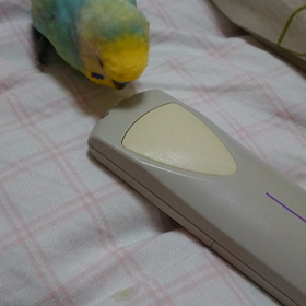 つづきの画像