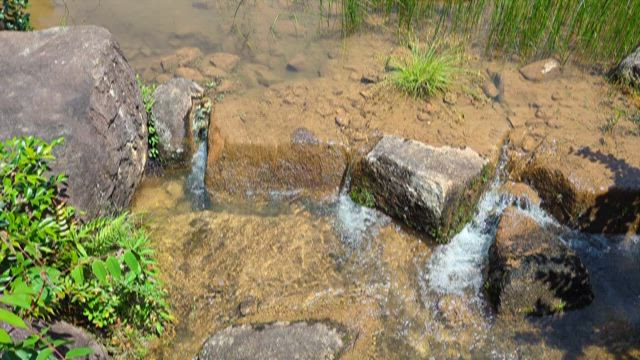 愛・地球博記念公園の記事動画