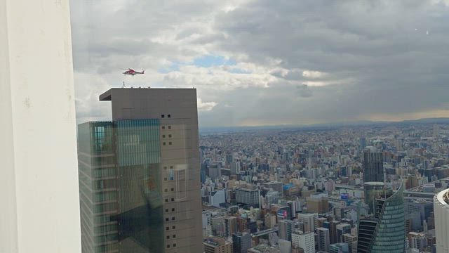 1月14日の記事動画