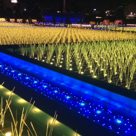 TOKYO  MEGA ILLUMINATION  2の画像
