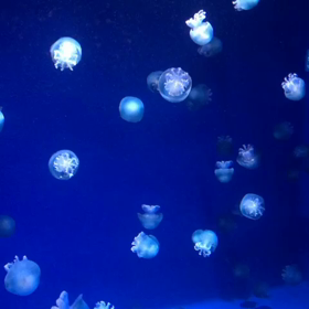 新しい一歩の画像