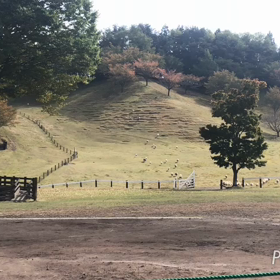 伊香保温泉旅行・9の画像