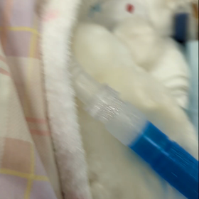 しーちゃん③の画像